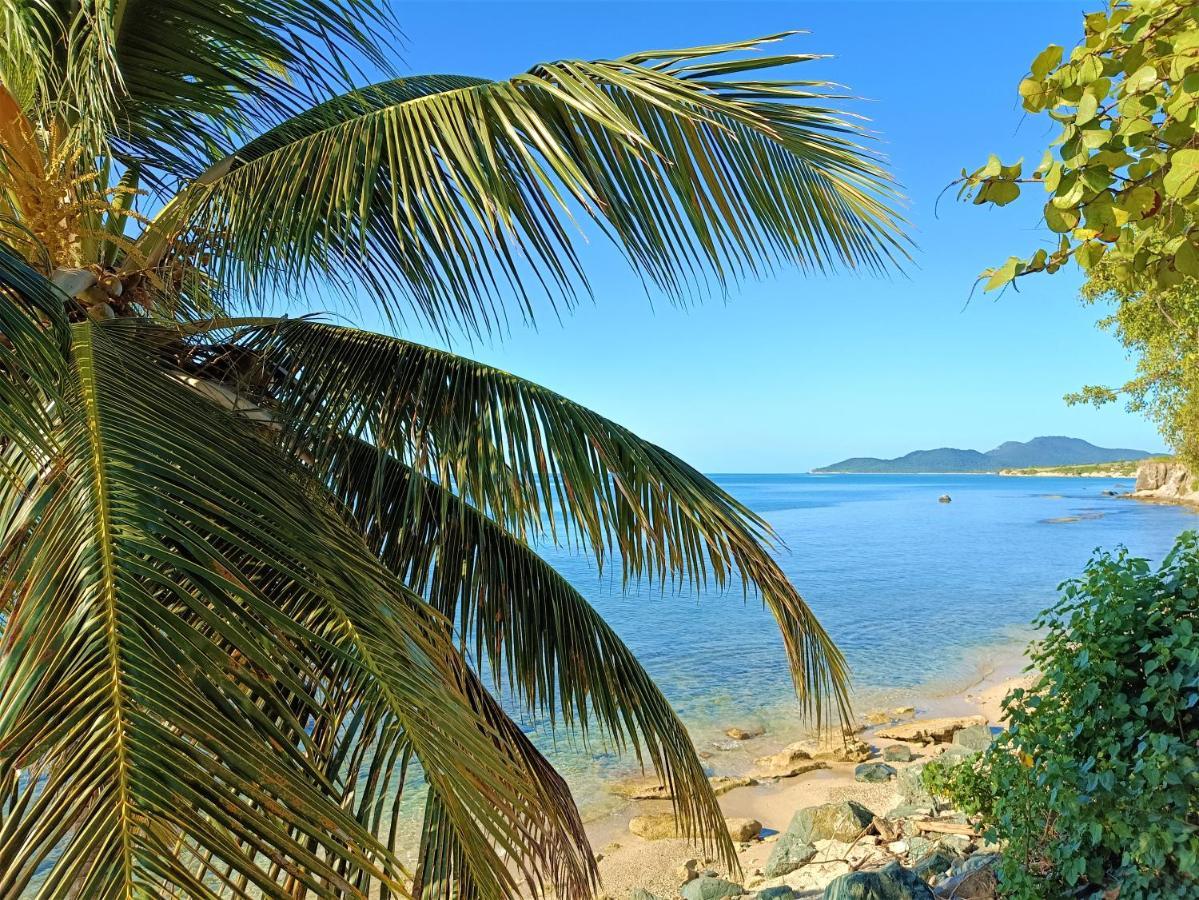 Waterside Inn Vieques Exterior foto